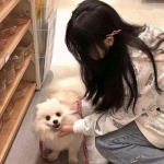 万世剑仙最新版下载